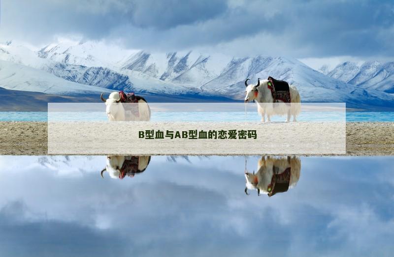 B型血与AB型血的恋爱密码