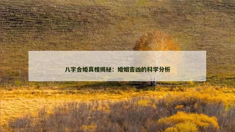 八字合婚真相揭秘：婚姻吉凶的科学分析