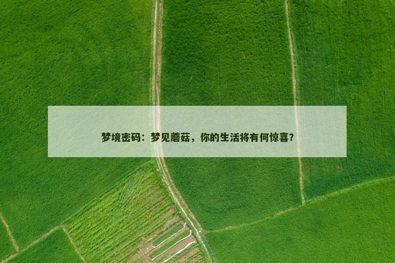 梦境密码：梦见蘑菇，你的生活将有何惊喜？