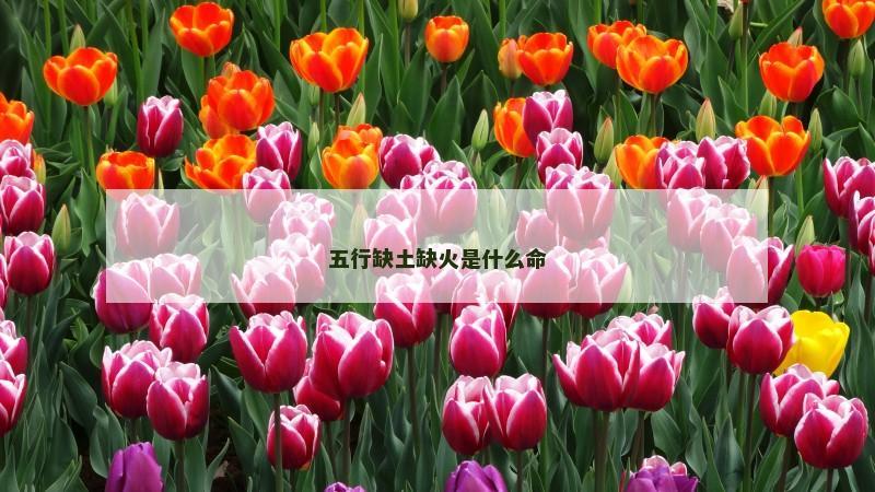 五行缺土缺火是什么命