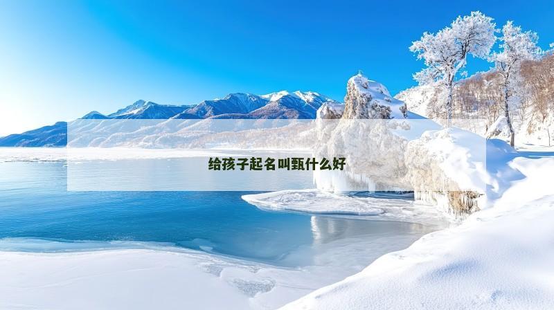 给孩子起名叫甄什么好
