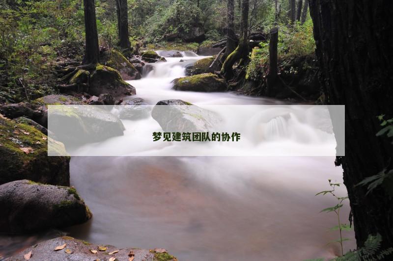 梦见建筑团队的协作
