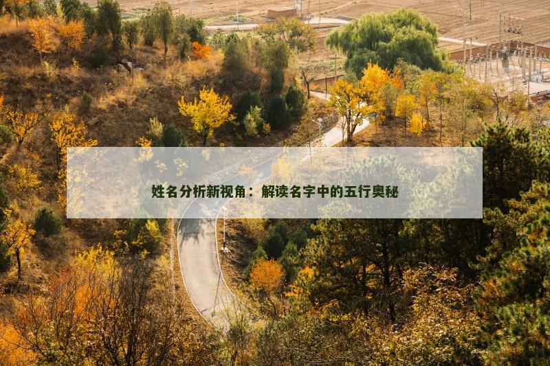 姓名分析新视角：解读名字中的五行奥秘