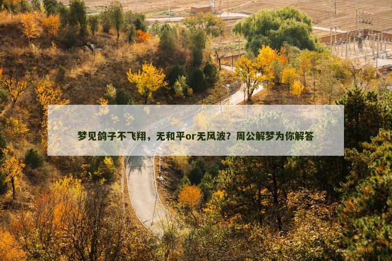 梦见鸽子不飞翔，无和平or无风波？周公解梦为你解答