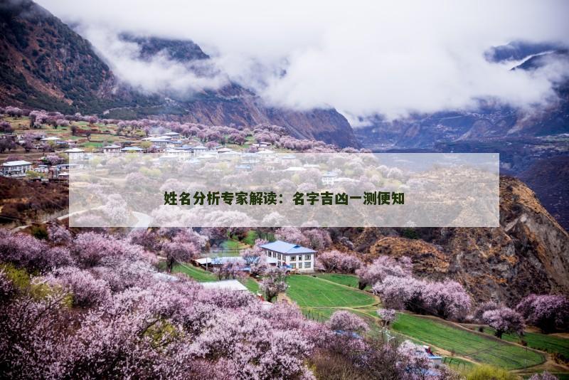 姓名分析专家解读：名字吉凶一测便知