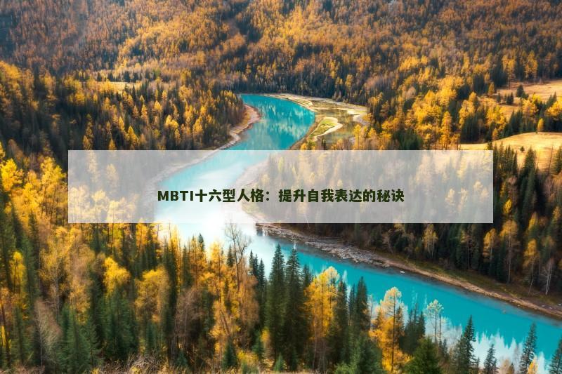 MBTI十六型人格：提升自我表达的秘诀