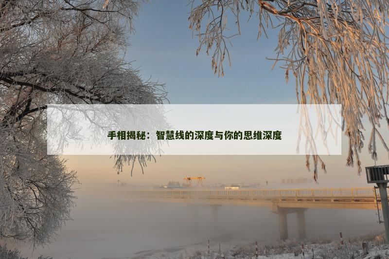 手相揭秘:智慧线的深度与你的思维深度 手相揭秘:智慧线的深度与你的思维深度