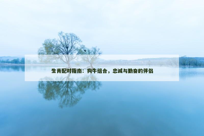 生肖配对指南：狗牛组合，忠诚与勤奋的伴侣
