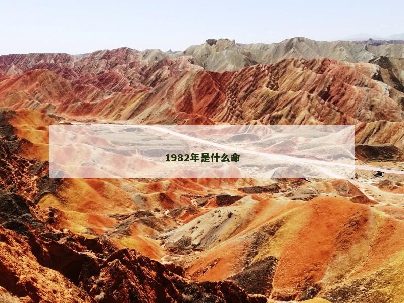 1982年是什么命 1982年是什么命