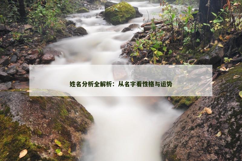 姓名分析全解析：从名字看性格与运势