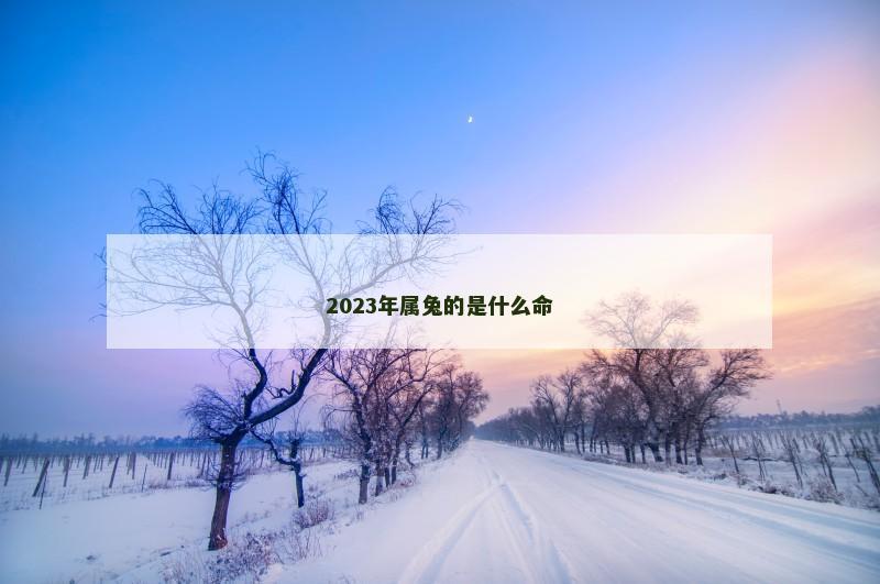 2023年属兔的是什么命 2023年属兔的是什么命