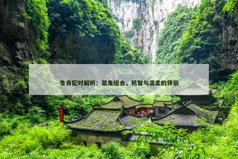生肖配对解析:鼠兔组合,机智与温柔的伴侣 生肖配对解析:鼠兔组合,机智与温柔的伴侣