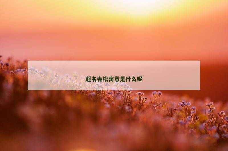 起名春松寓意是什么呢