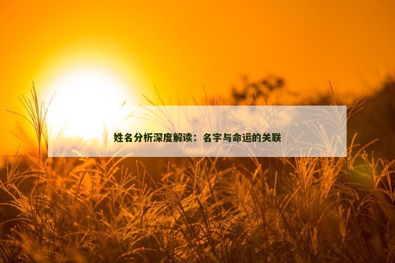 姓名分析深度解读：名字与命运的关联