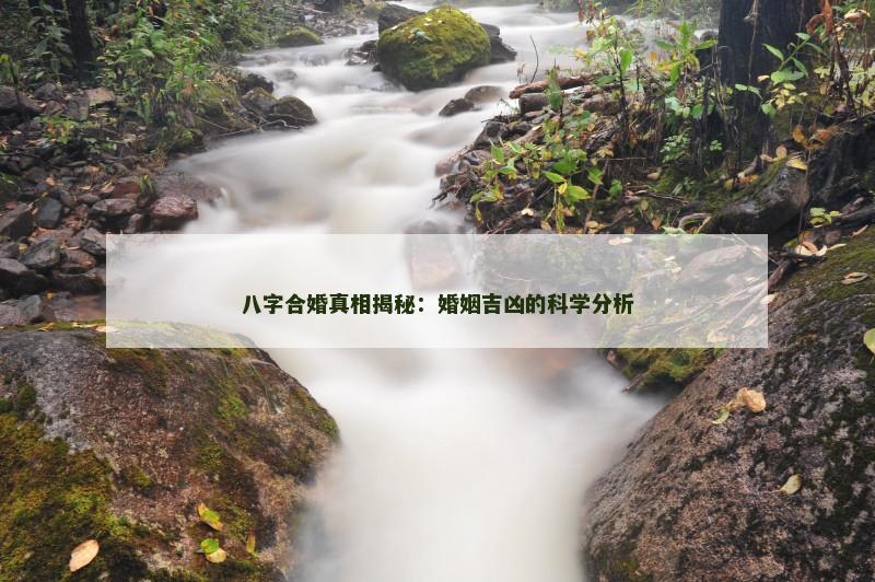 八字合婚真相揭秘：婚姻吉凶的科学分析
