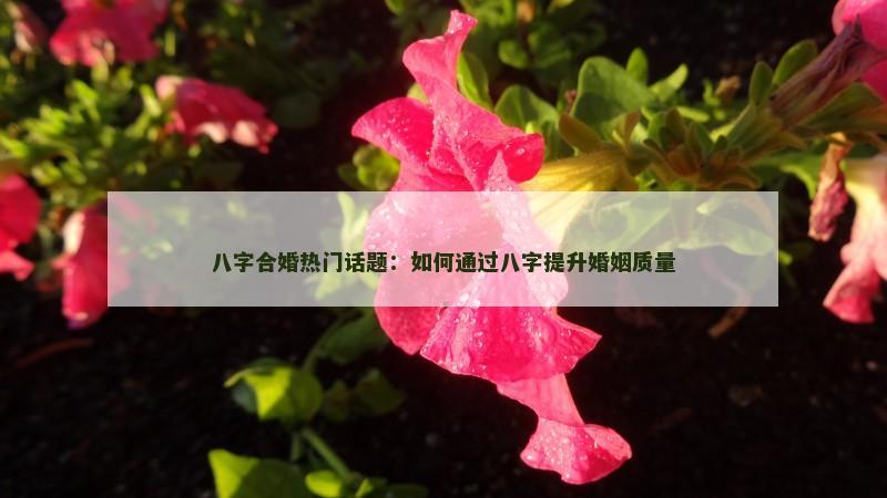 八字合婚热门话题：如何通过八字提升婚姻质量