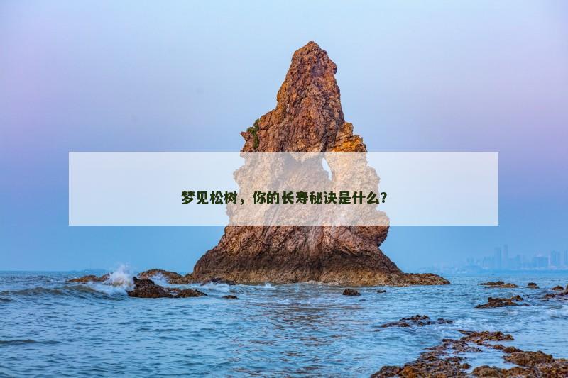 梦见松树，你的长寿秘诀是什么？