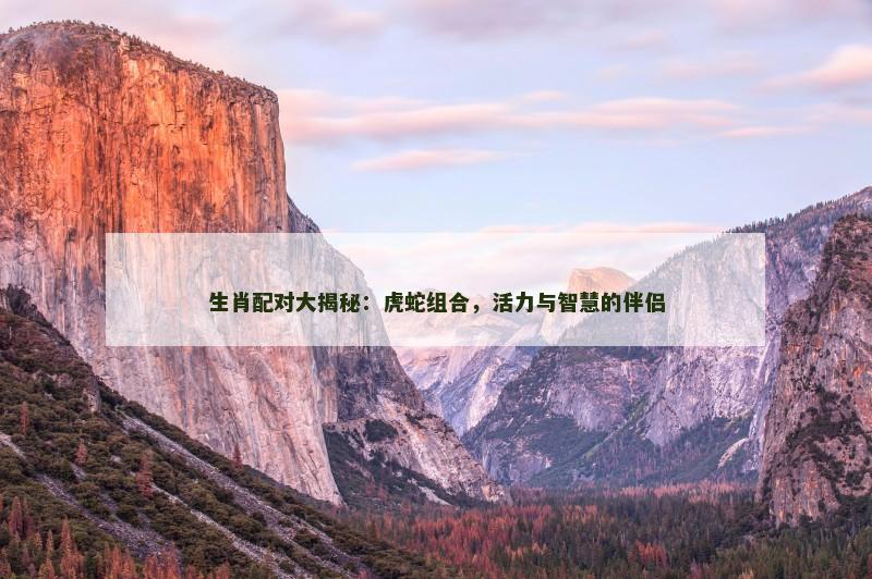 生肖配对大揭秘：虎蛇组合，活力与智慧的伴侣