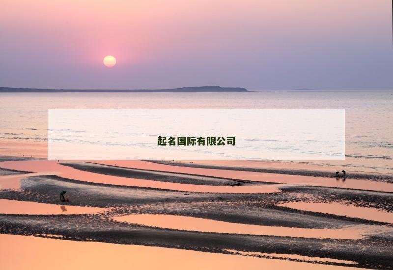起名国际有限公司