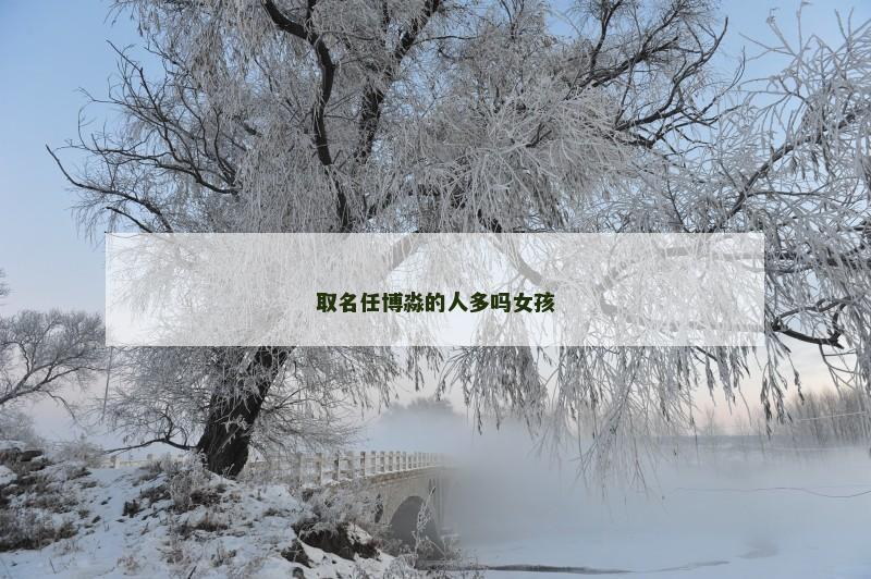 取名任博淼的人多吗女孩