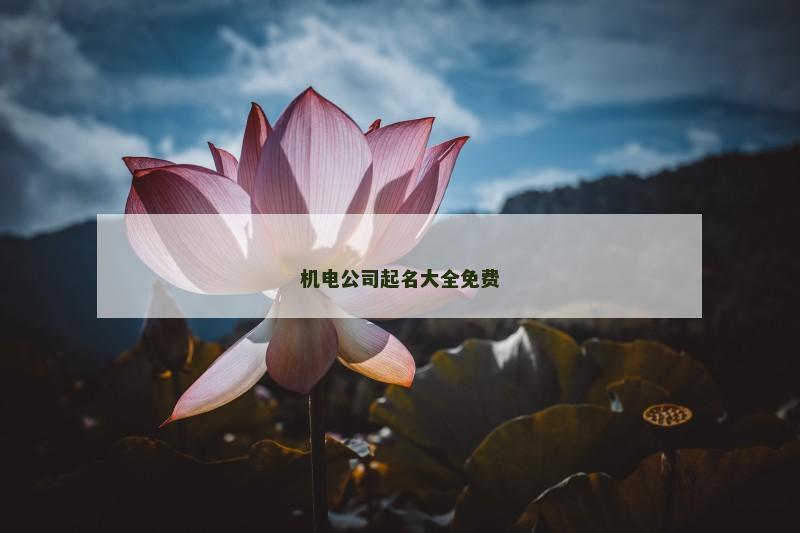 机电公司起名大全免费