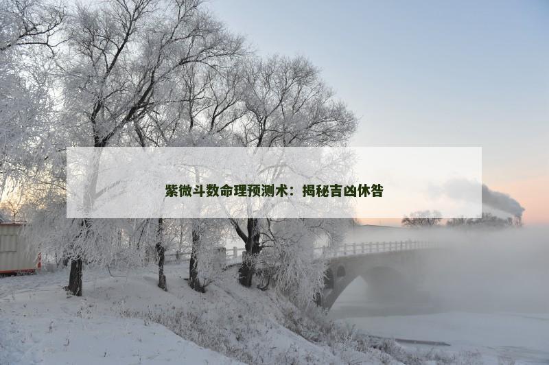 紫微斗数命理预测术：揭秘吉凶休咎