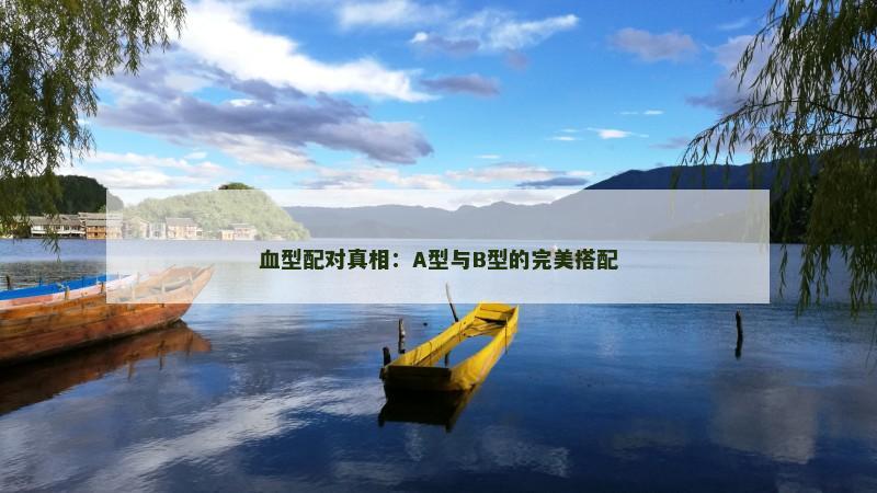 血型配对真相：A型与B型的完美搭配