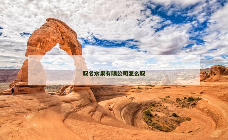 取名水果有限公司怎么取