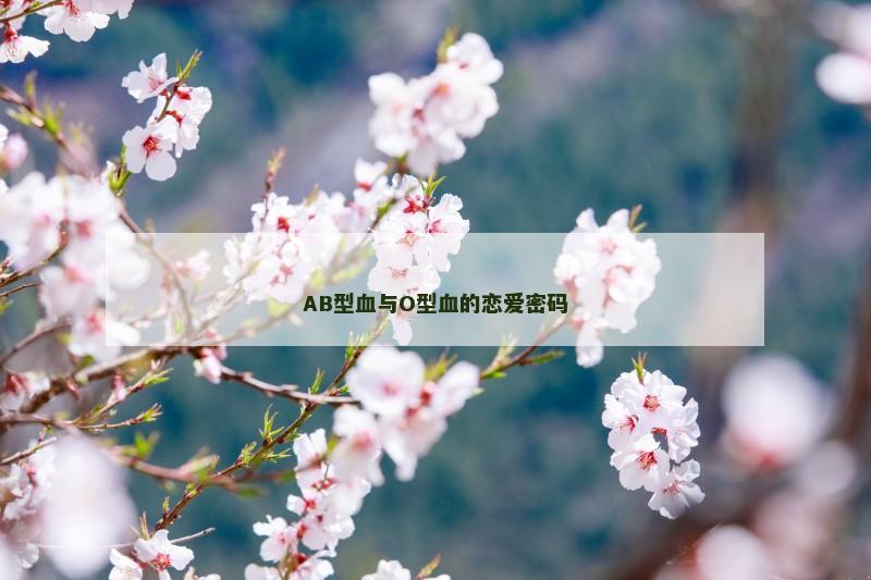 AB型血与O型血的恋爱密码