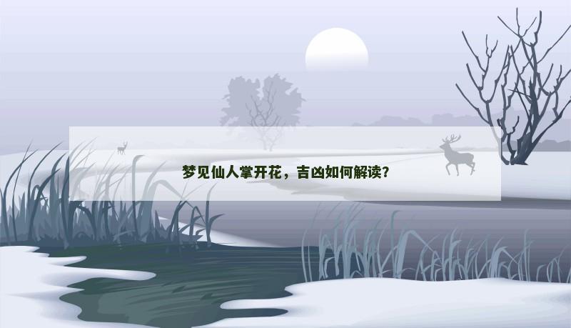 梦见仙人掌开花，吉凶如何解读？
