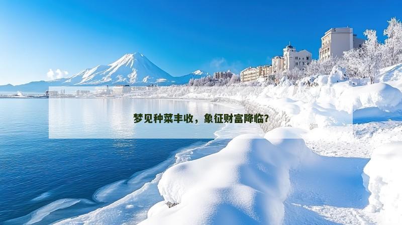梦见种菜丰收，象征财富降临？