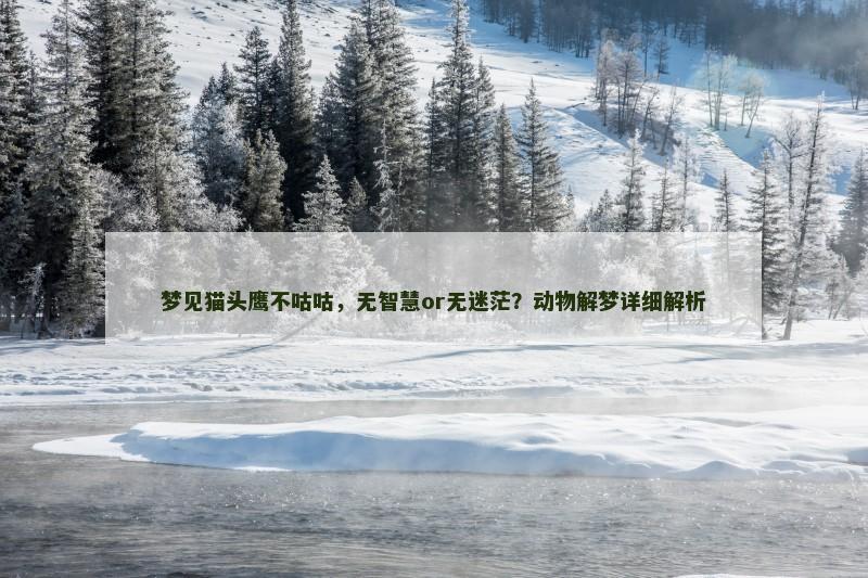 梦见猫头鹰不咕咕,无智慧or无迷茫?动物解梦详细解析 梦见猫头鹰不咕咕,无智慧or无迷茫?动物解梦详细解析