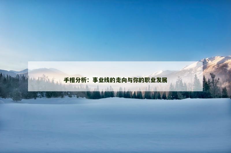 手相分析：事业线的走向与你的职业发展