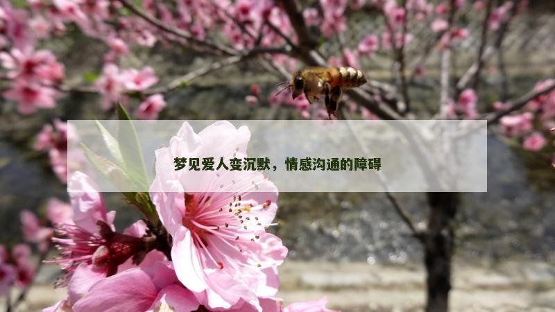 梦见爱人变沉默，情感沟通的障碍