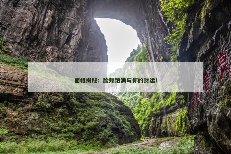 面相揭秘：脸颊饱满与你的财运！