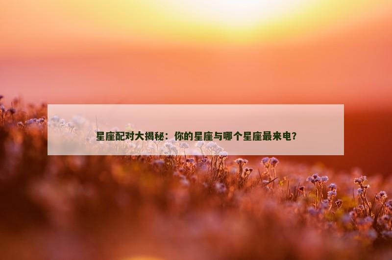 星座配对大揭秘：你的星座与哪个星座最来电？