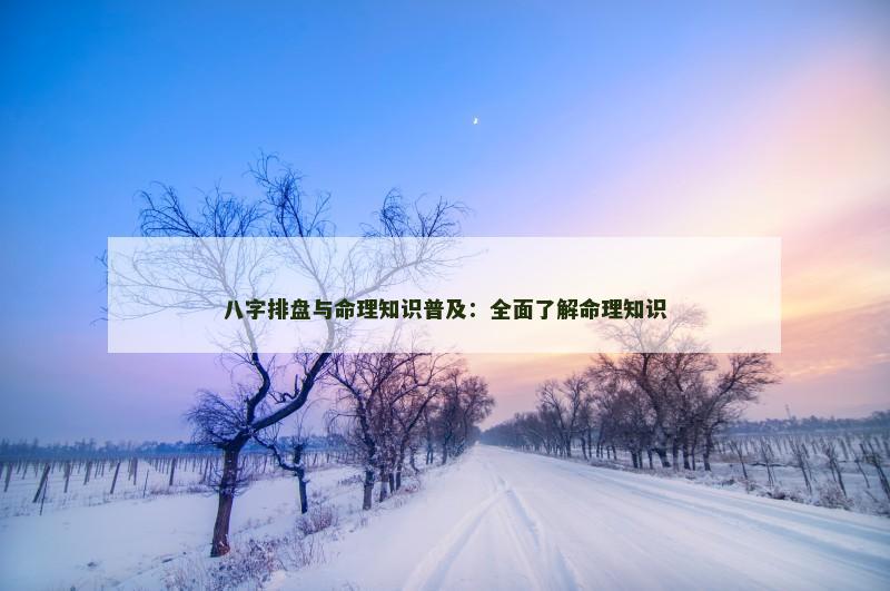 八字排盘与命理知识普及：全面了解命理知识