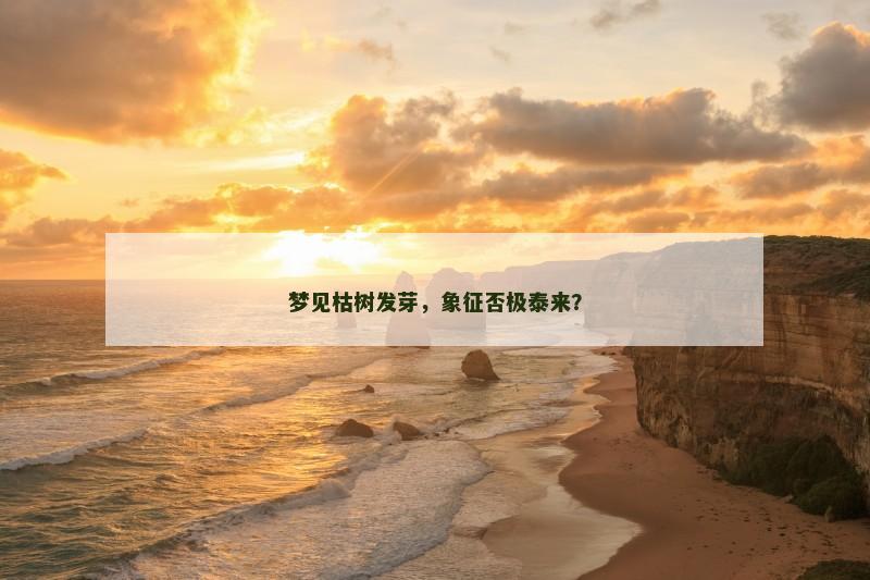 梦见枯树发芽，象征否极泰来？