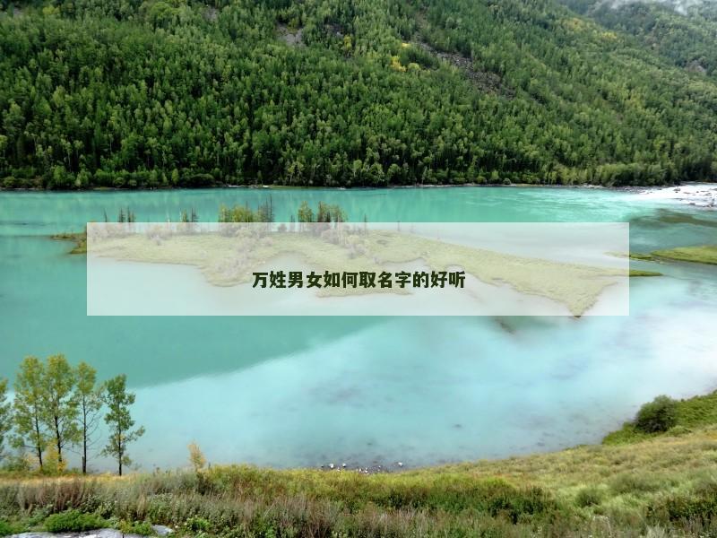 万姓男女如何取名字的好听