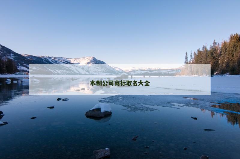 木制公司商标取名大全